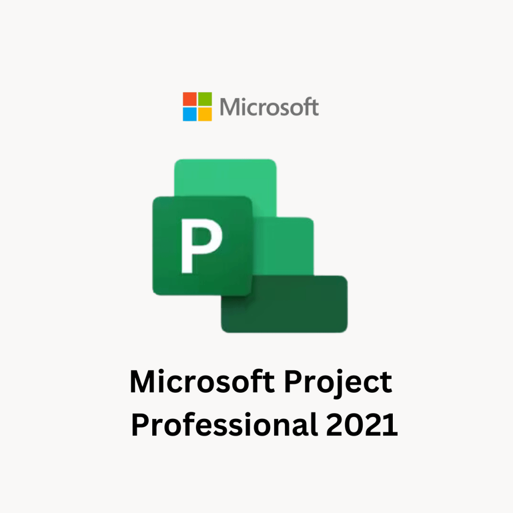 Microsoft Project Professional 2021