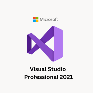 Visual Studio Professional 2021