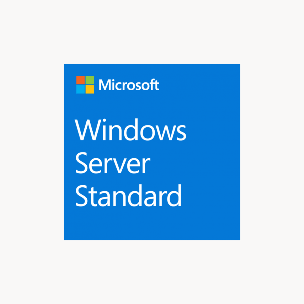 Windows Server 2019 Standard 10-Client Access Licence (English)