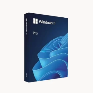 Windows 11 Pro Microsoft